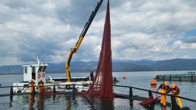 ιχθυοκαλλιέργειες-στον-αέρα-λόγω-avramar-562942288