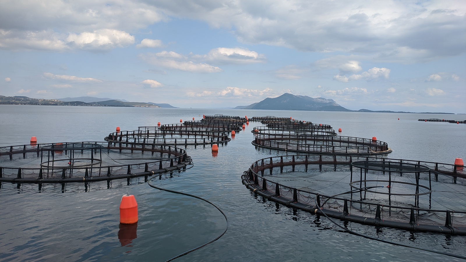 Ιχθυοκαλλιέργειες: Στον «αέρα» λόγω Avramar – Παγώνουν οι επενδύσεις-1