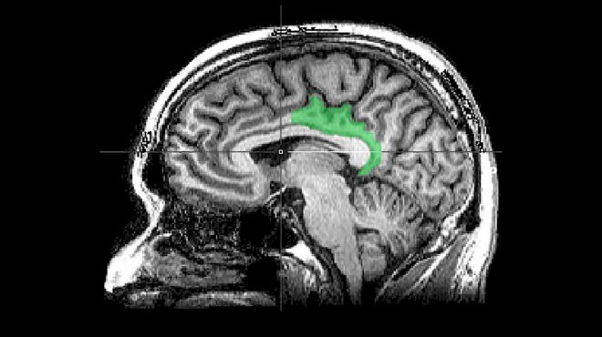 πώς-οι-τραυματικές-εμπειρίες-του-παρε-562952824