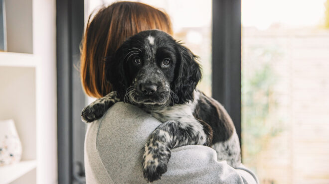 είναι-οι-σκύλοι-σεξιστές-562910920