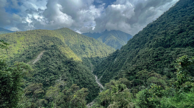 μέσα-στην-πιο-απομακρυσμένη-ζούγκλα-τ-562949626