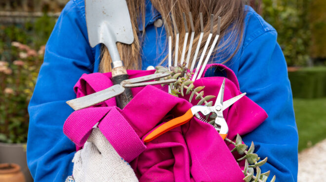 τι-χρειάζεστε-για-ένα-υγιή-και-όμορφο-κ-562953136