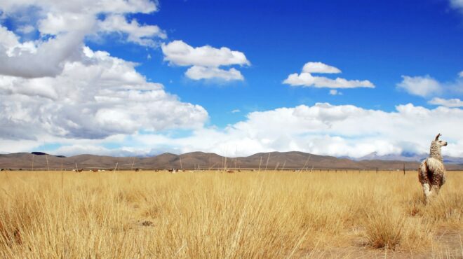 τέσσερις-ψυχές-στο-έλεος-της-φύσης-562937377