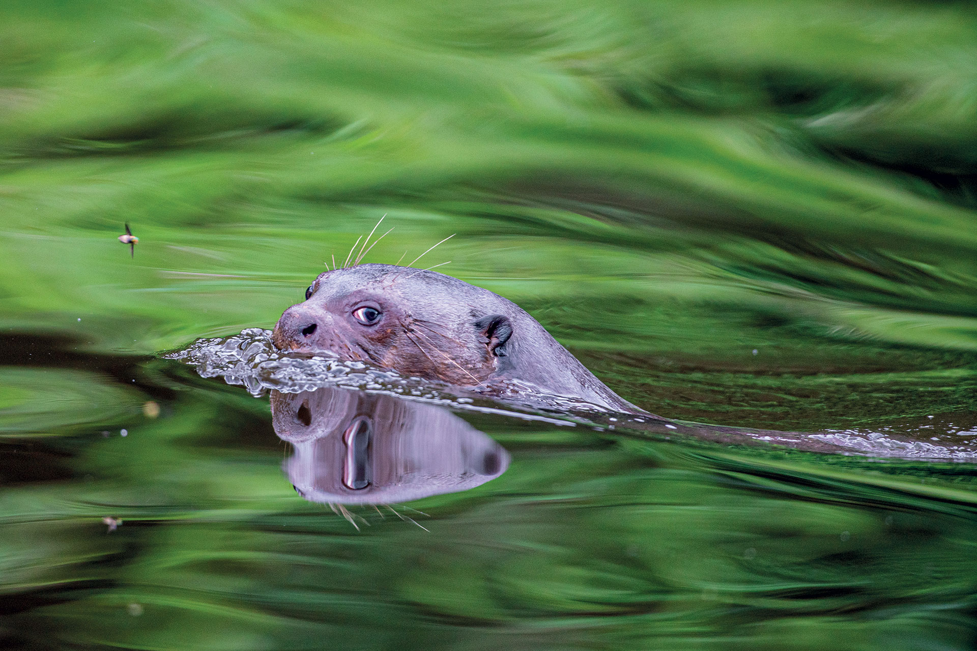 Μέσα στην πιο απομακρυσμένη ζούγκλα του Αμαζονίου-4