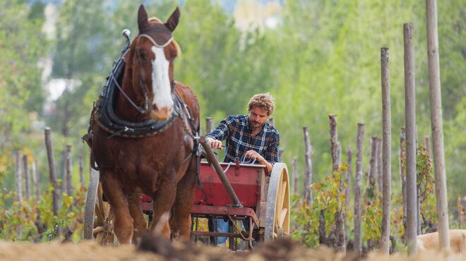 ενα-ισπανικό-κρασί-κοιτάει-στα-μάτια-τ-562953262