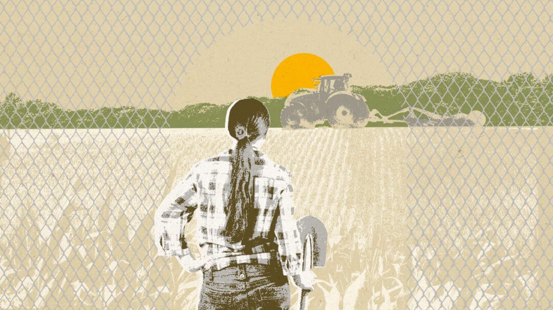 14-χρόνια-μετά-αγρότισσες-της-κρίσης-μι-562928767