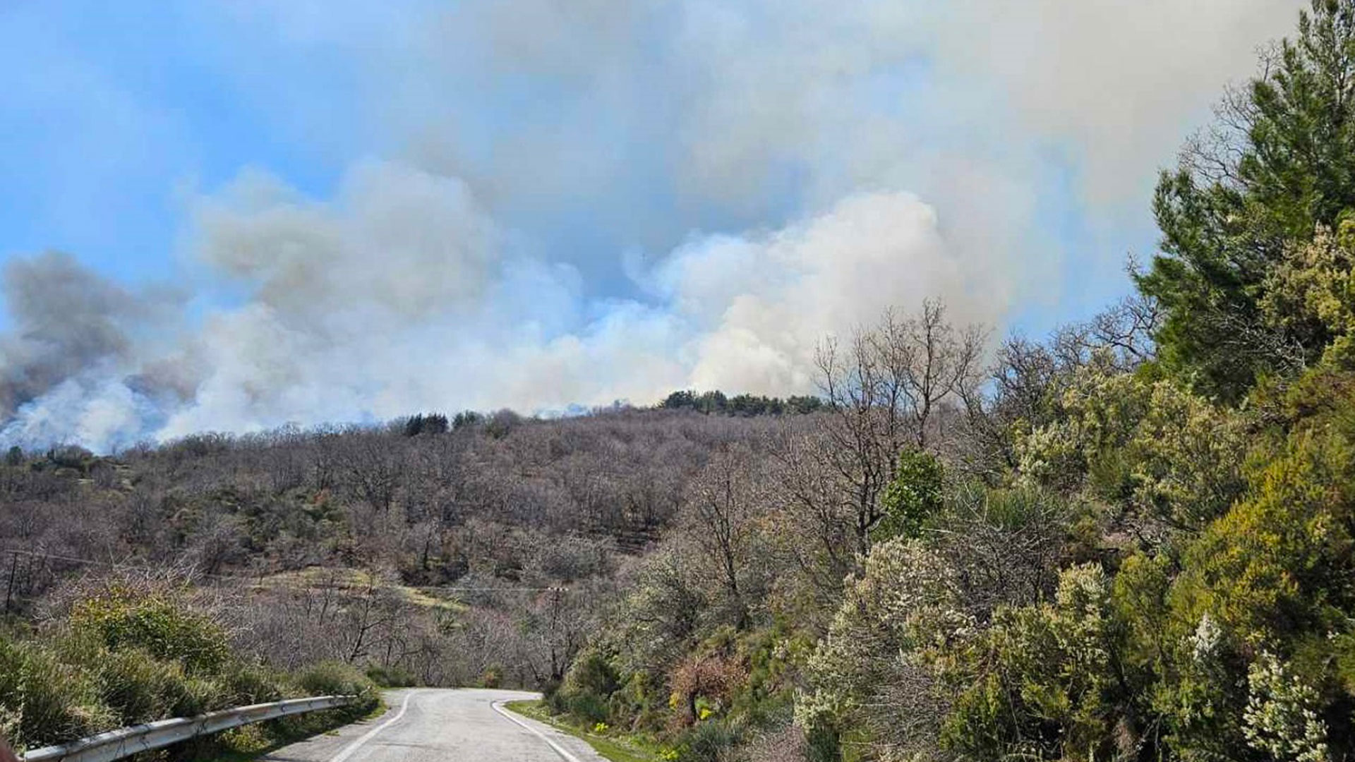 Λακωνία: Φωτιά σε δασική έκταση-1