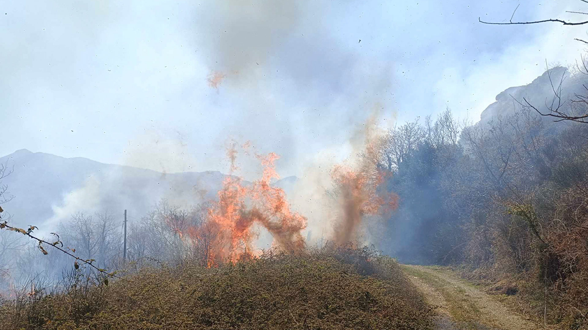 Λακωνία: Φωτιά σε δασική έκταση-2