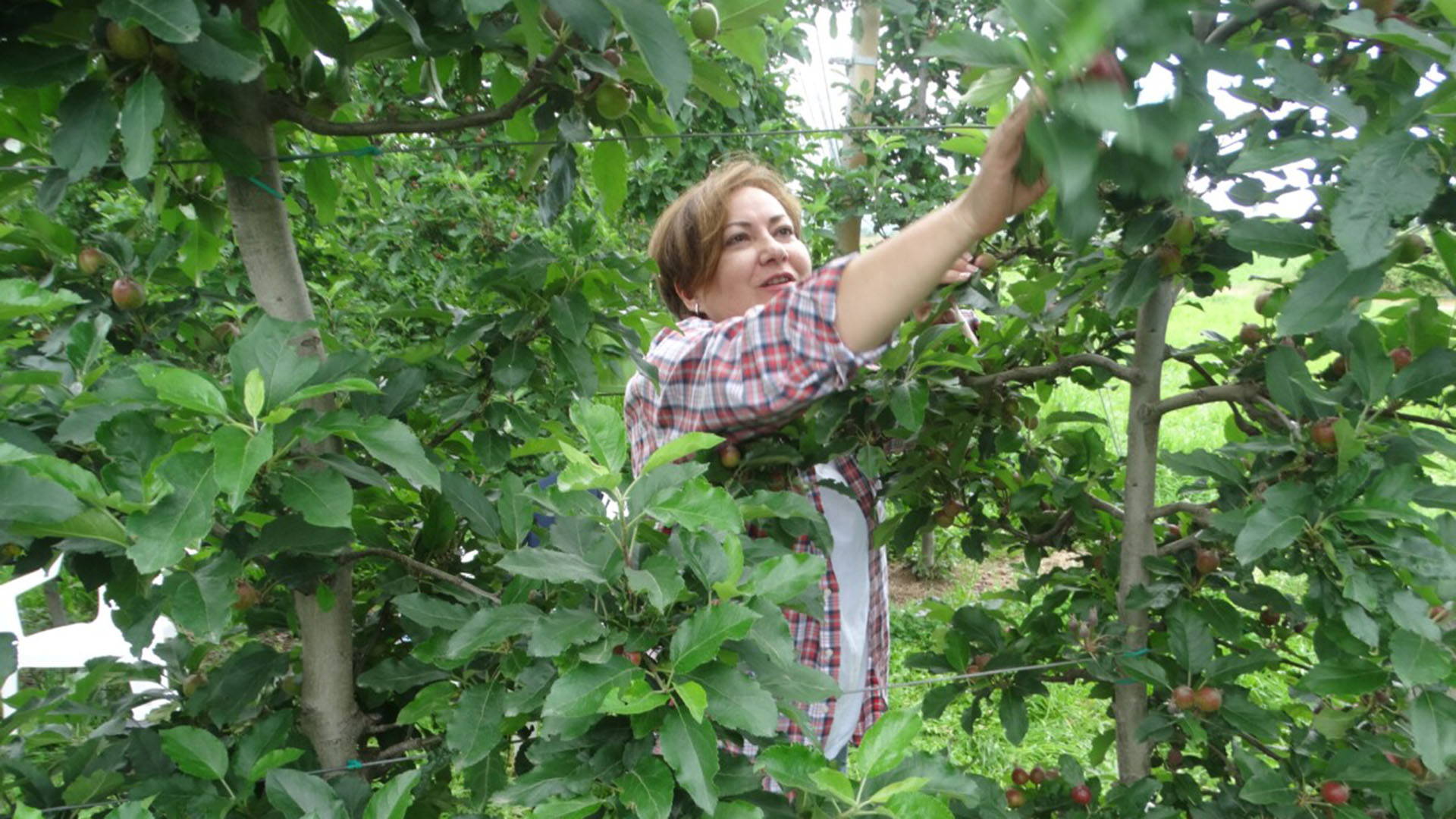 14 χρόνια μετά: Αγρότισσες της κρίσης μιλούν στην «Κ»-1