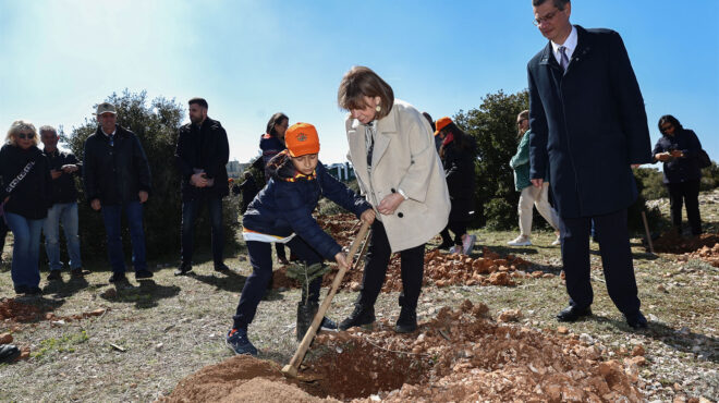 εντός-και-εκτός-συμβολική-δενδροφύτε-562944247