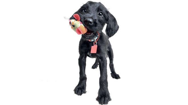 πώς-να-προετοιμαστείτε-πριν-πάρετε-σκ-562943161