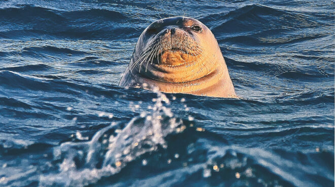 να-μάθουμε-τον-κόσμο-πώς-να-συμπεριφέ-562916575