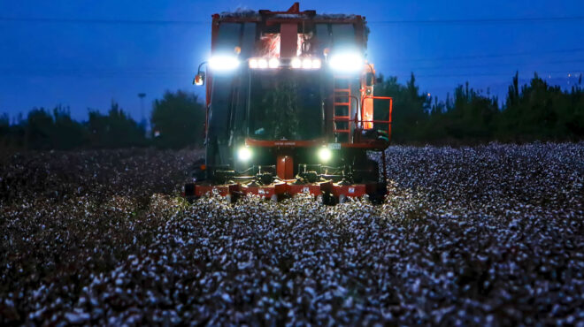 θεσσαλία-βαμβάκι-με-15-δισ-εξαγωγές-40-δ-562934176