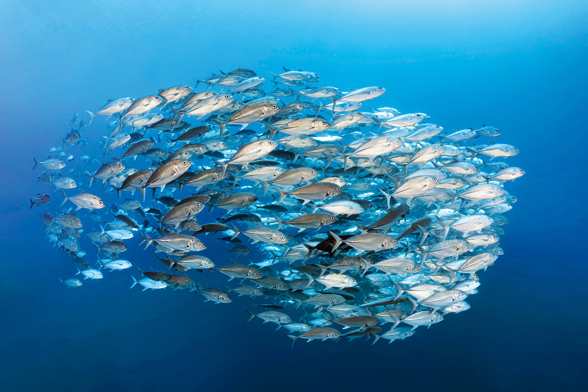 Διαβάστε στην «Καθημερινή της Κυριακής»-4