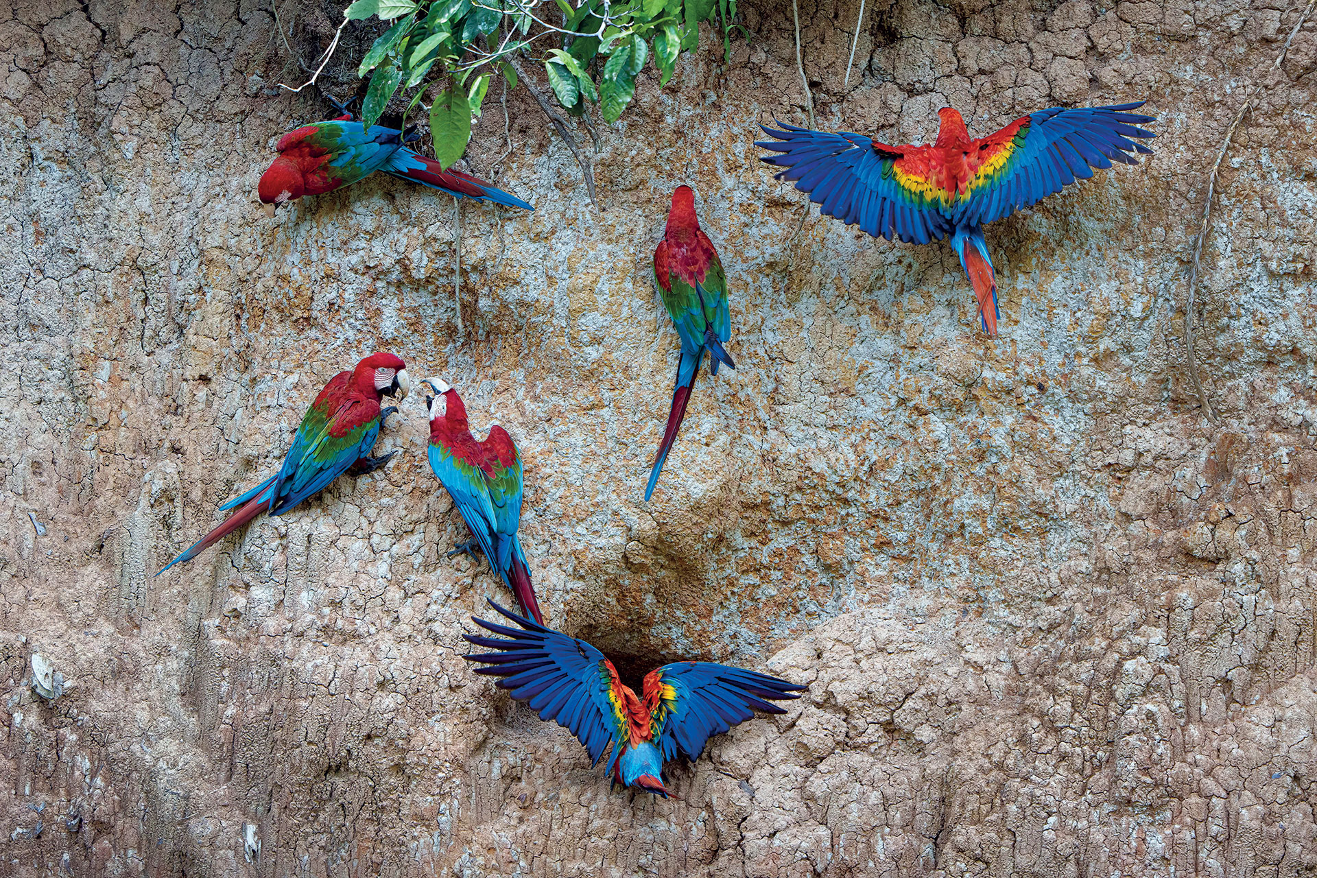 Μέσα στην πιο απομακρυσμένη ζούγκλα του Αμαζονίου-9
