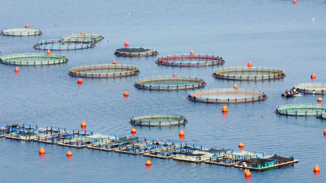 avramar-κοινή-πρόταση-εξαγοράς-από-ισπανικό-562940284