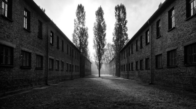 κάλλιο-χω-να-σε-κόψει-του-τούρκου-το-562924933