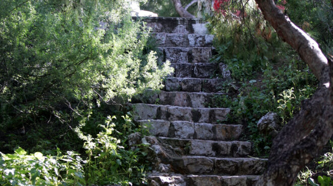 το-ψηφιδωτό-της-τρέλας-μέρος-vi-562924738