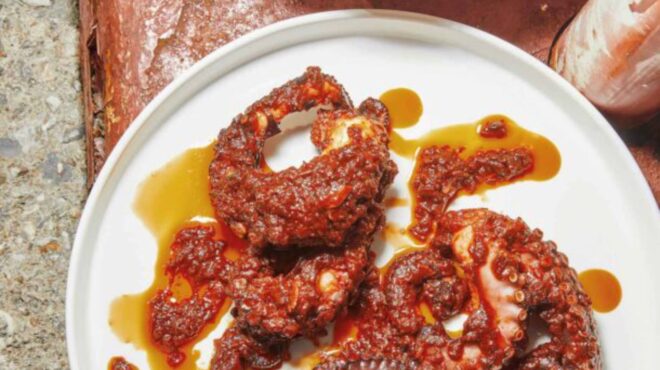 χταπόδι-μπουρδέτο-562948054