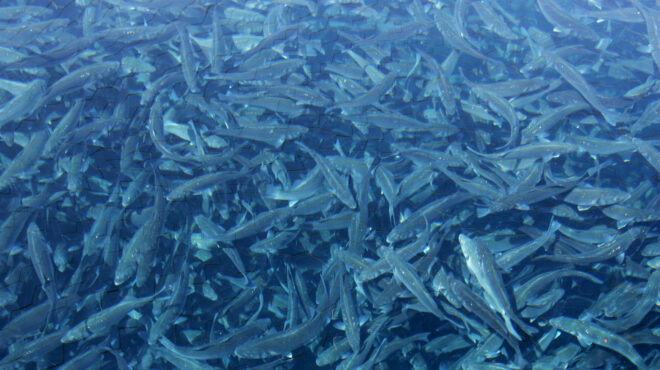 συμφωνία-avramar-με-τράπεζες-για-το-δάνειο-τω-562956940