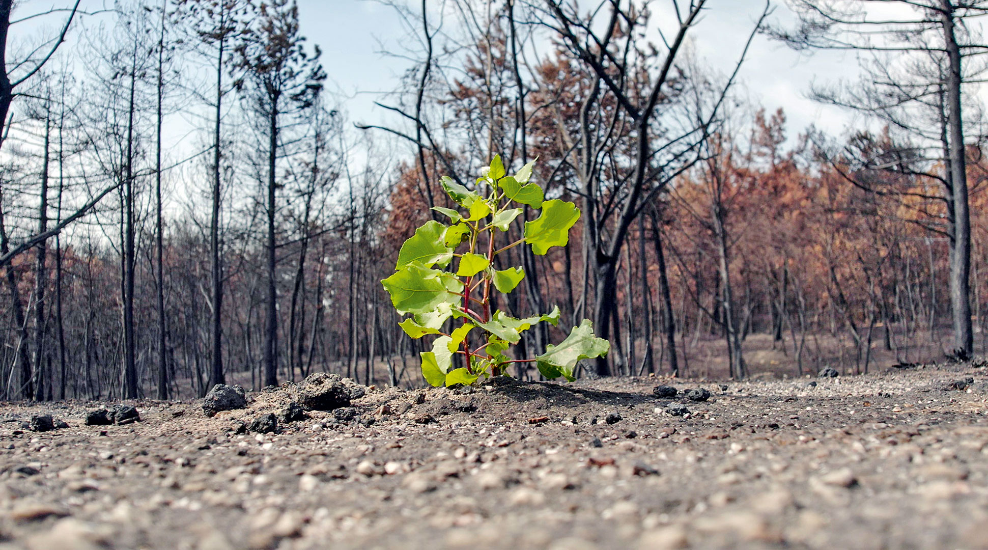 Γυμνά βουνά από ψηλά-1
