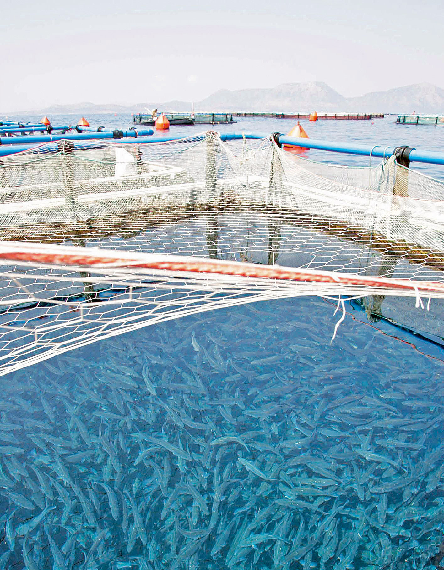 Avramar: Κοινή πρόταση εξαγοράς από ισπανικό fund και Αραβες-1