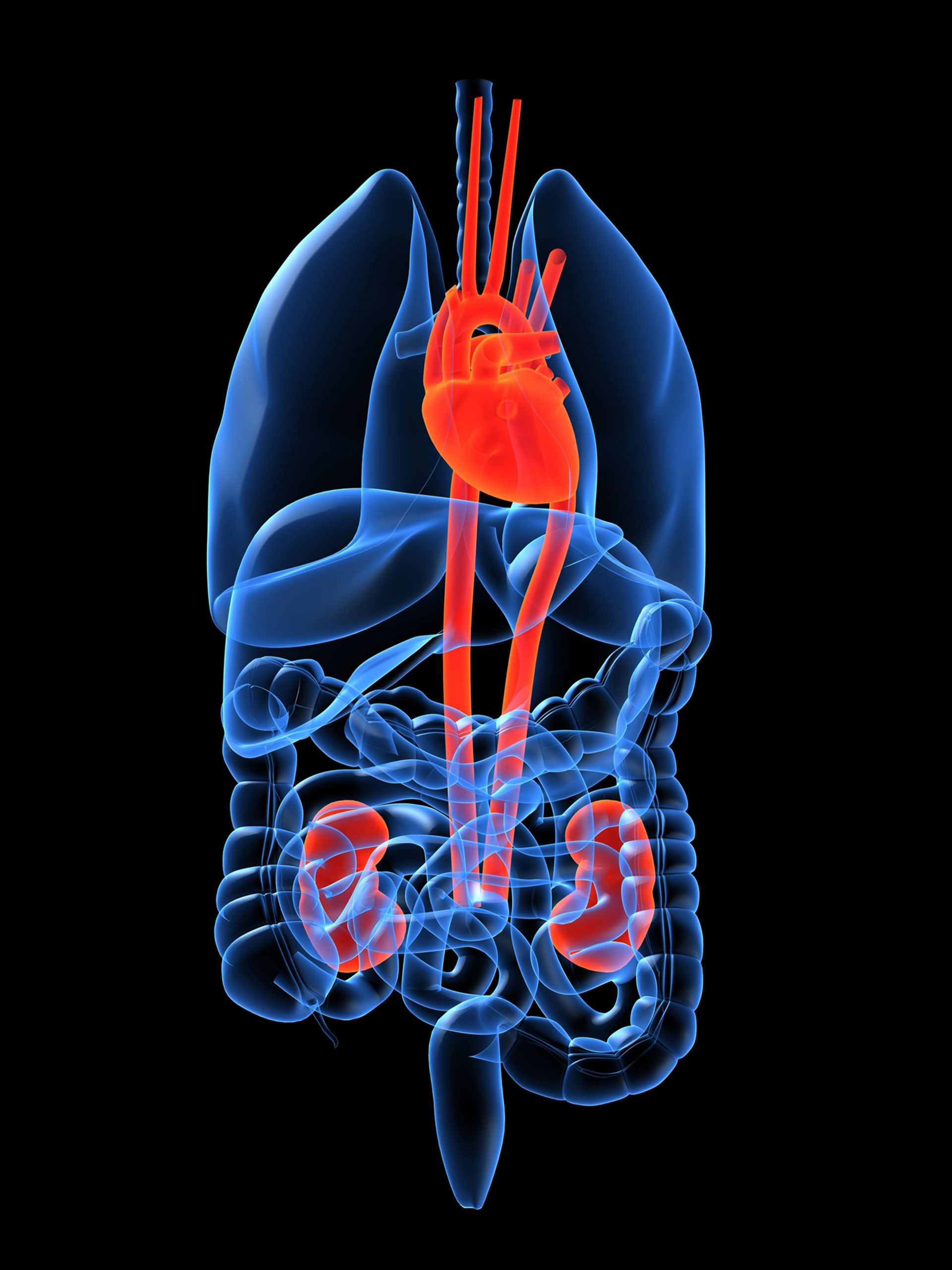 Ενα νέο εργαλείο για την πρόγνωση του κινδύνου καρδιοπάθειας-1