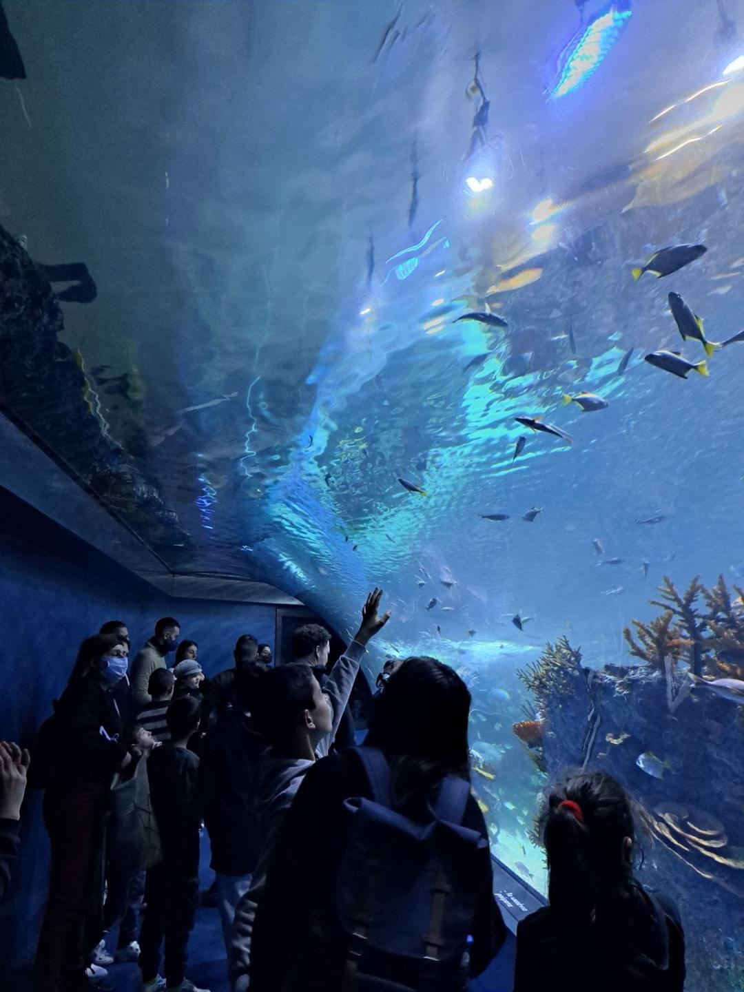 Κόρινθος: Ενα σχολείο πρότυπο συμπερίληψης και αλληλεγγύης-4