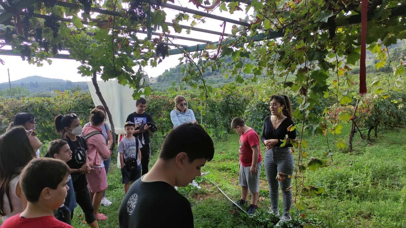 Κόρινθος: Ενα σχολείο πρότυπο συμπερίληψης και αλληλεγγύης-3