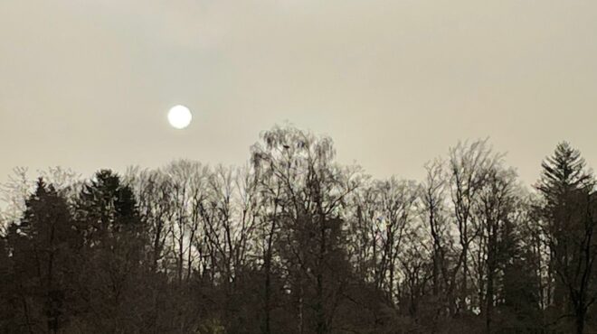 συναγερμός-σε-γαλλία-και-ελβετία-για-τ-562957624