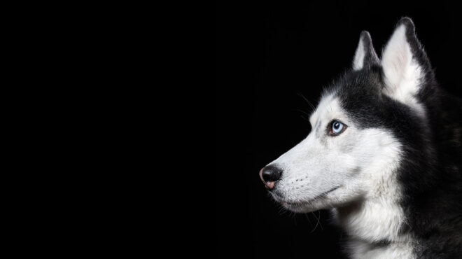 αράχωβα-ποινική-δίωξη-σε-ένα-άτομο-για-562937947