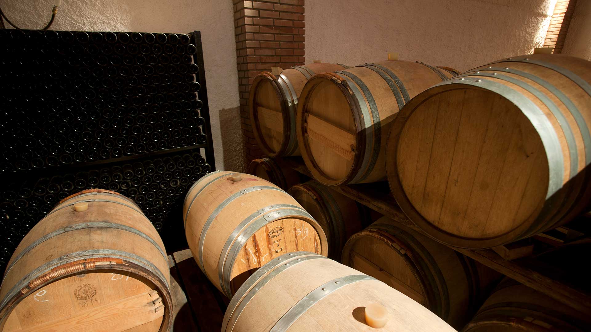 13 Ελληνίδες οινοποιοί μέσα από τα κρασιά τους: Οι ετικέτες που αξίζει να δοκιμάσετε-4