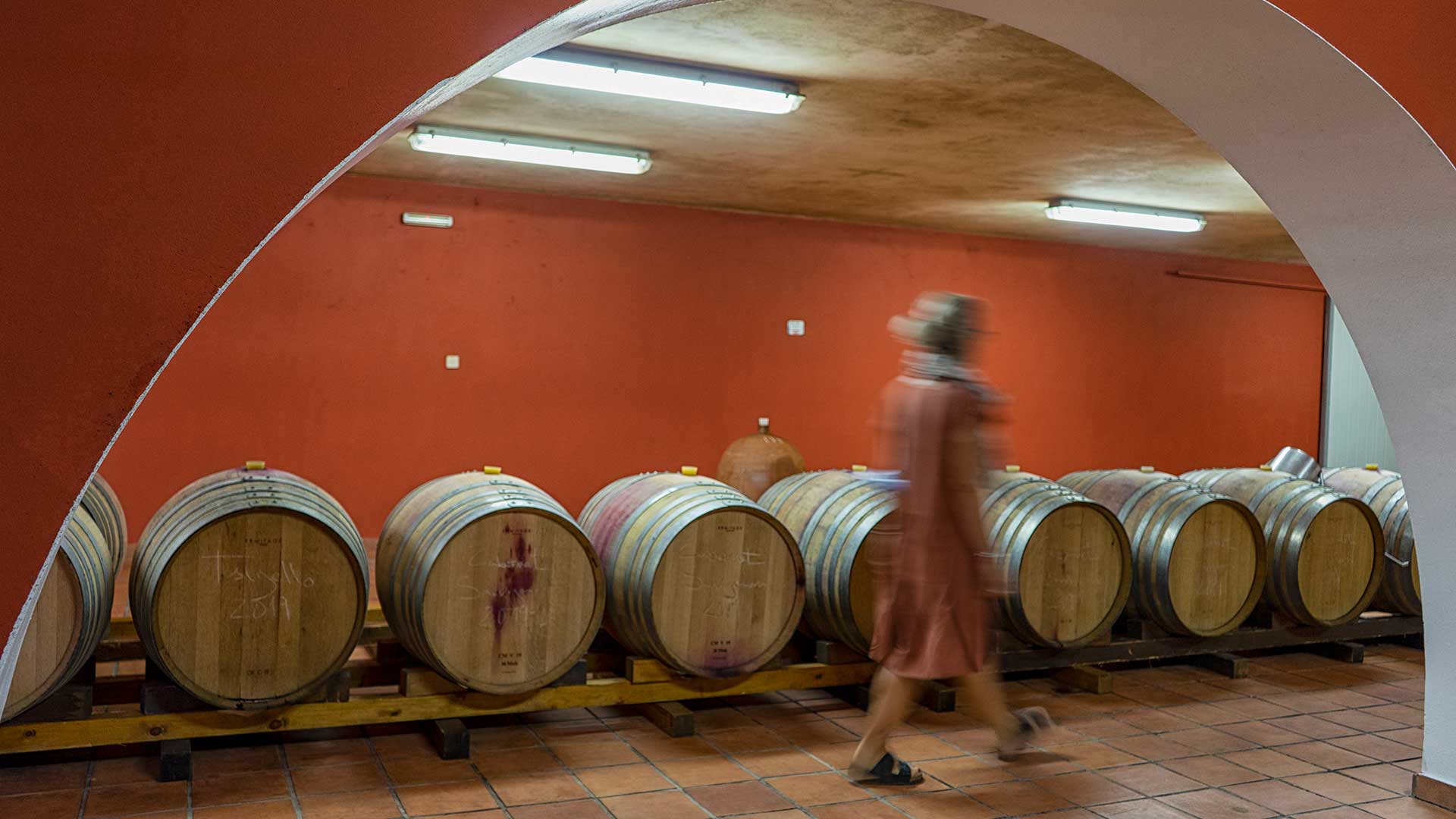 13 Ελληνίδες οινοποιοί μέσα από τα κρασιά τους: Οι ετικέτες που αξίζει να δοκιμάσετε-6