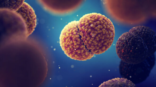 μηνιγγίτιδα-χημειοπροφύλαξη-σε-600-φοι-562927315