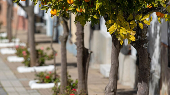 κλιματική-κρίση-θα-είναι-αυτό-το-θερμό-562953448