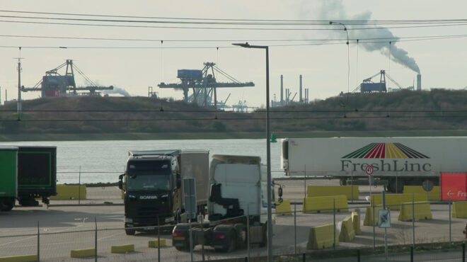 ολλανδία-η-κρίση-του-αζώτου-562952785