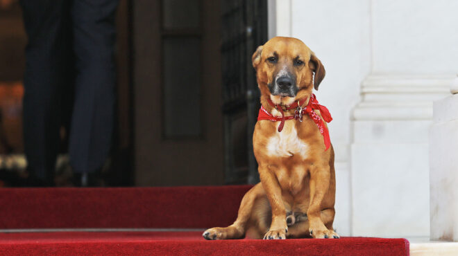 ο-κύκλος-των-χαμένων-επιτελών-562957129