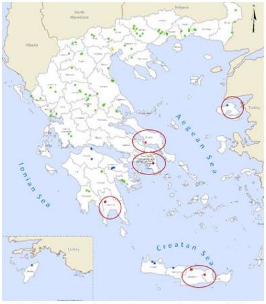 Συναγερμός για «πεταλούδα» που καταστρέφει καλλιέργειες-1