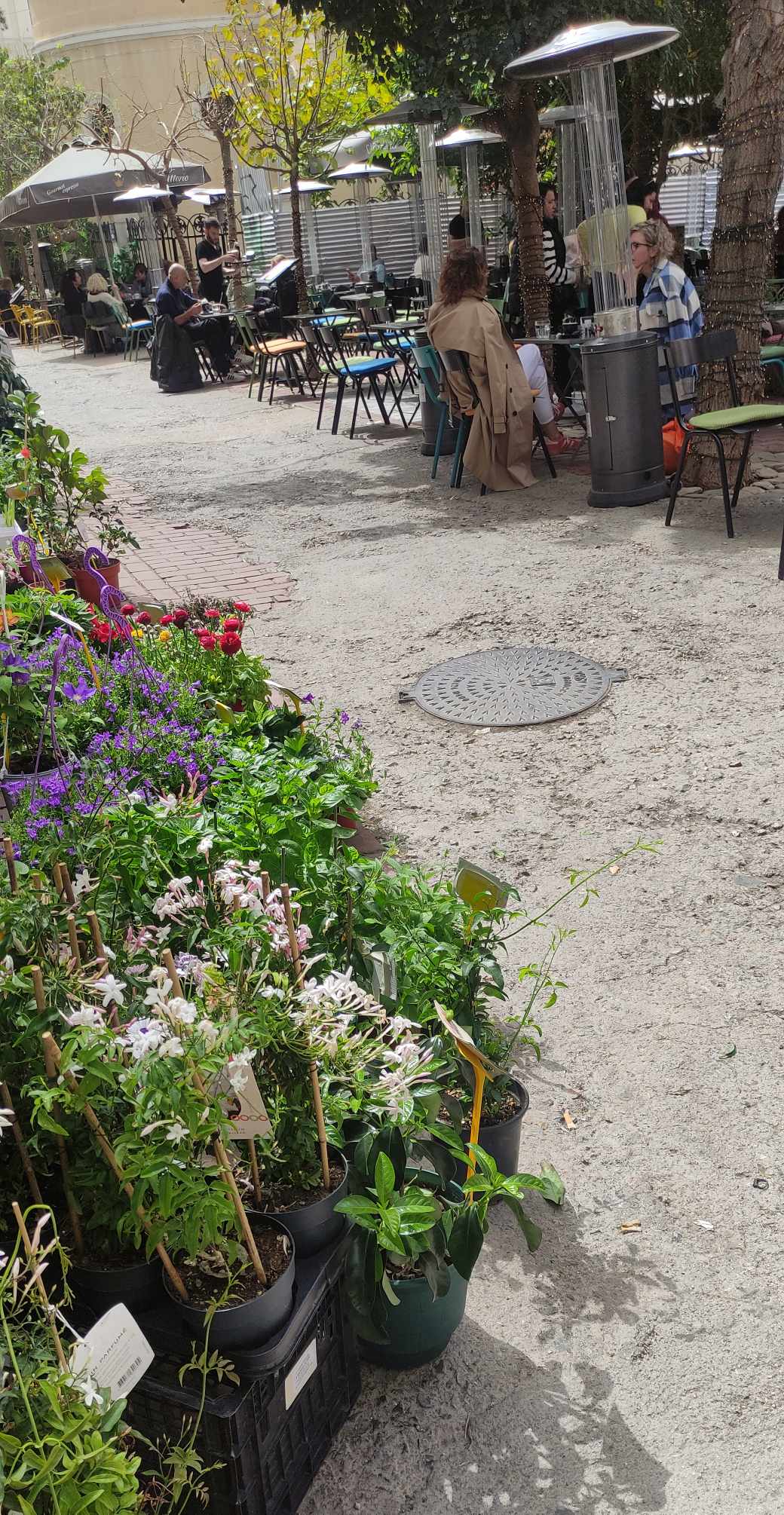 Νέα πνοή σε τέσσερις εμβληματικές πλατείες της Αθήνας-5