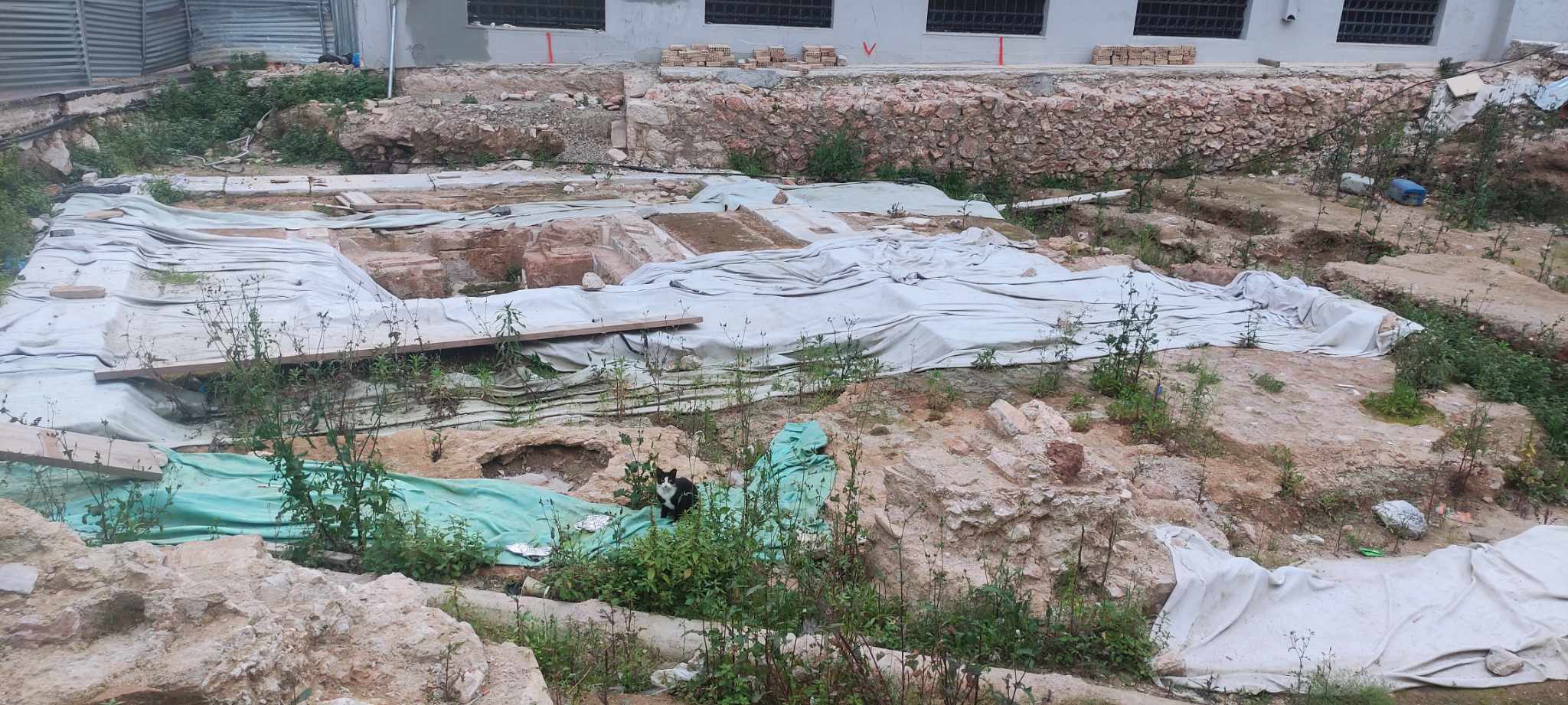 Νέα πνοή σε τέσσερις εμβληματικές πλατείες της Αθήνας-9