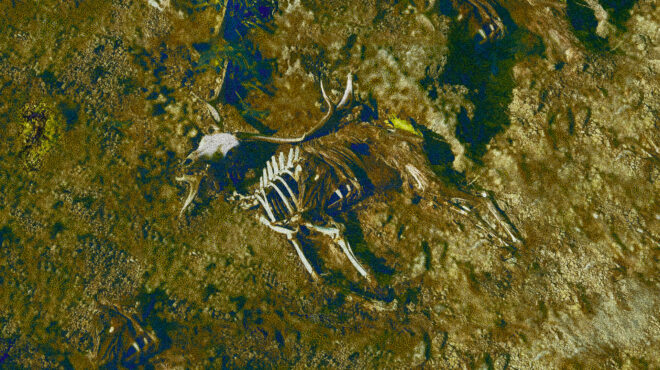 ρόδος-ελεύθερα-τα-ελάφια-562949629