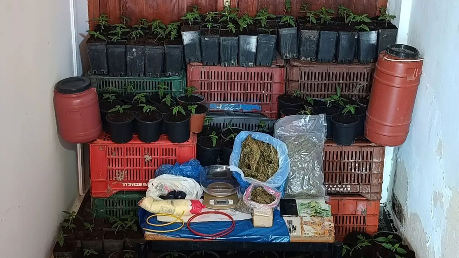 Δύο κιλά ζελατινοδυναμίτιδας βρήκε η ΕΛ.ΑΣ. σε σπίτι στο Ρέθυμνο-1