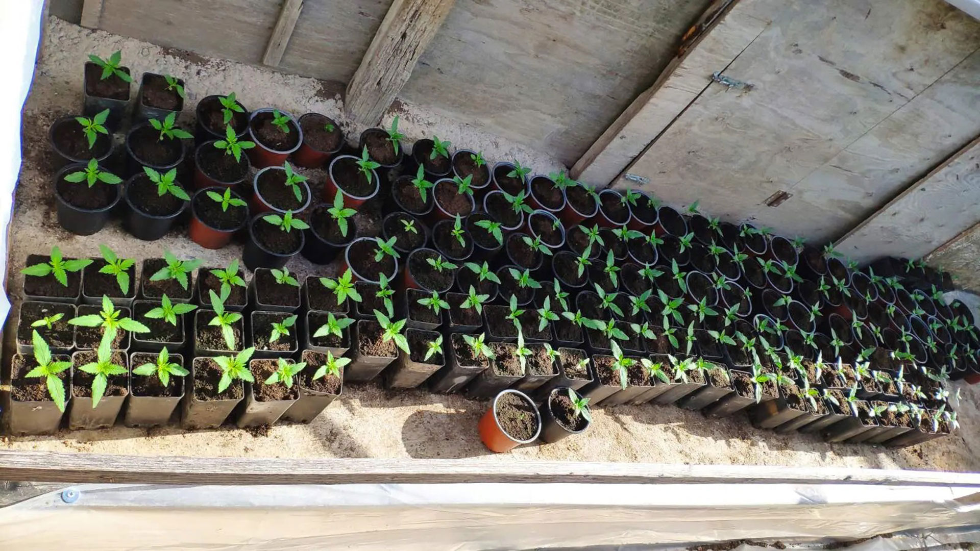 Δύο κιλά ζελατινοδυναμίτιδας βρήκε η ΕΛ.ΑΣ. σε σπίτι στο Ρέθυμνο-2