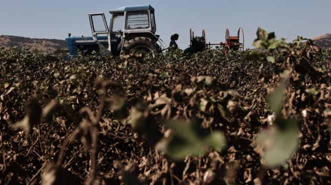 αγροτικό-πετρέλαιο-την-τρίτη-η-πληρωμ-562957318