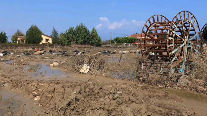 πληγέντες-κτηνοτρόφοι-πλατφόρμα-για-562915165