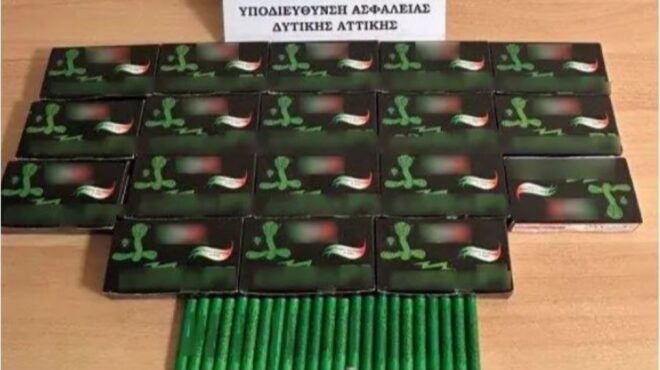 περιστέρι-συνελήφθη-ιδιοκτήτης-περι-562998424