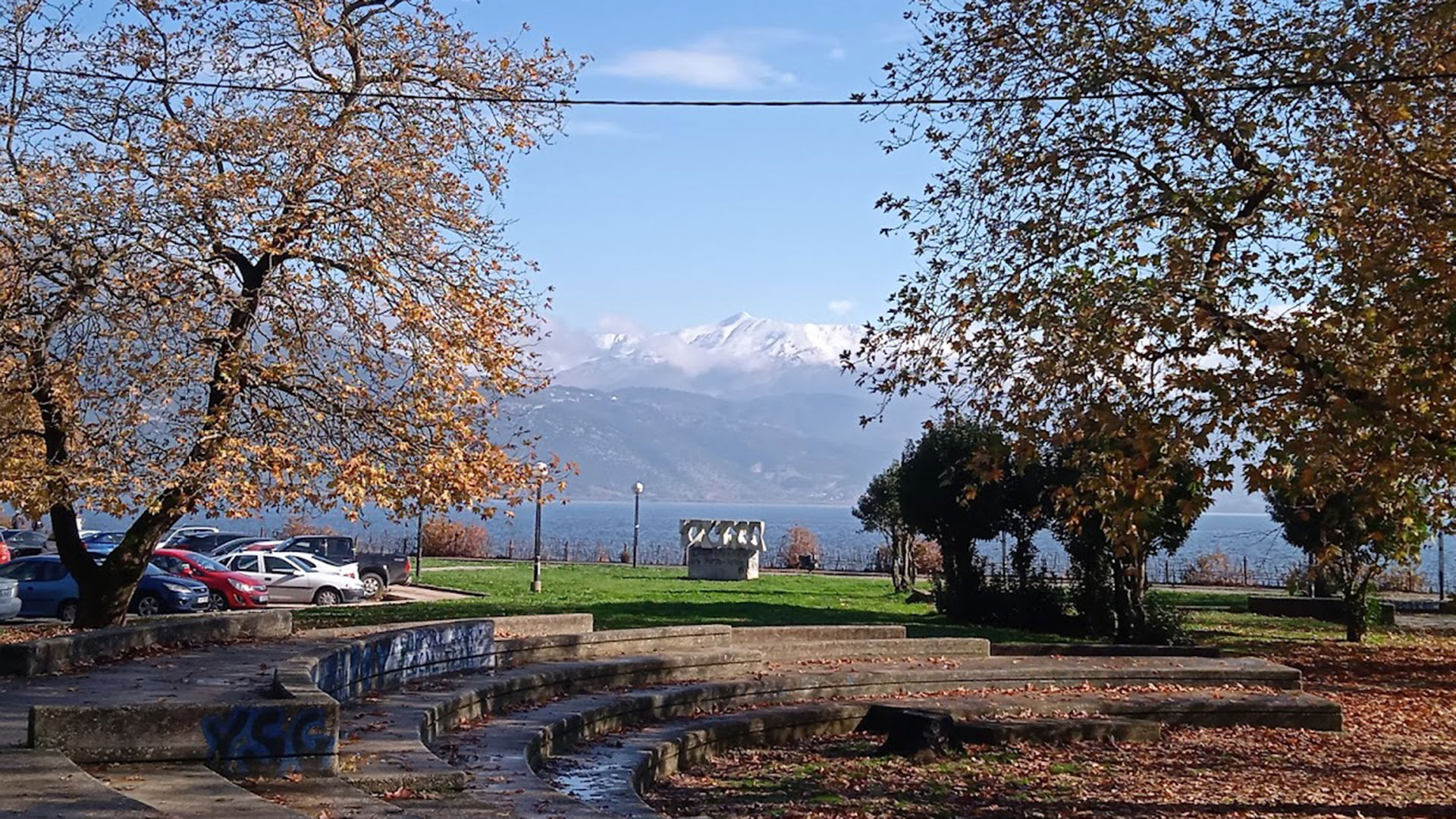 Μύκητας που ξεραίνει τα πλατάνια εξαπλώνεται στη Μακεδονία-2
