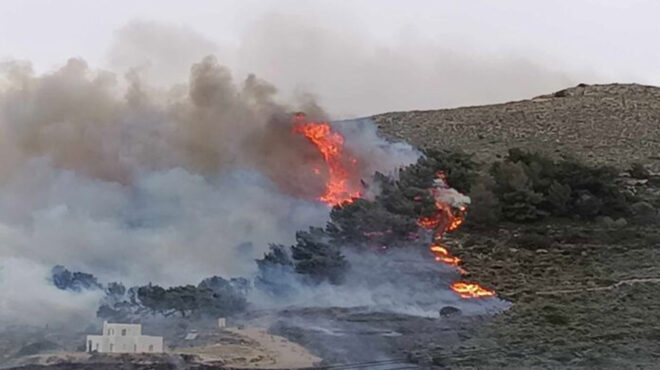 τρεις-συλλήψεις-για-τη-χθεσινή-πυρκαγ-562995223