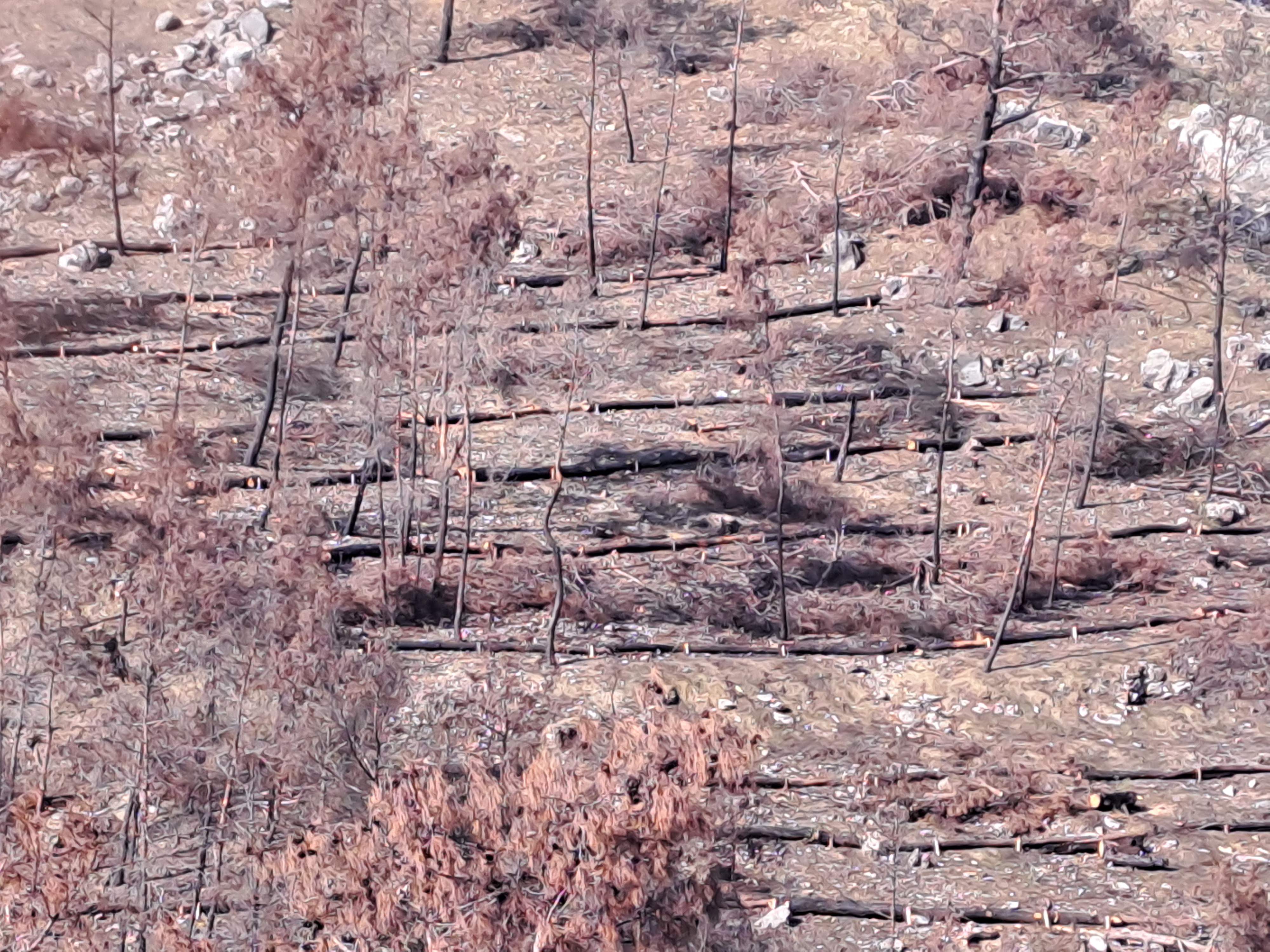 Η πρώτη σεζόν μετά την καταστροφική πυρκαγιά – Το διπλό στοίχημα της Ρόδου-7