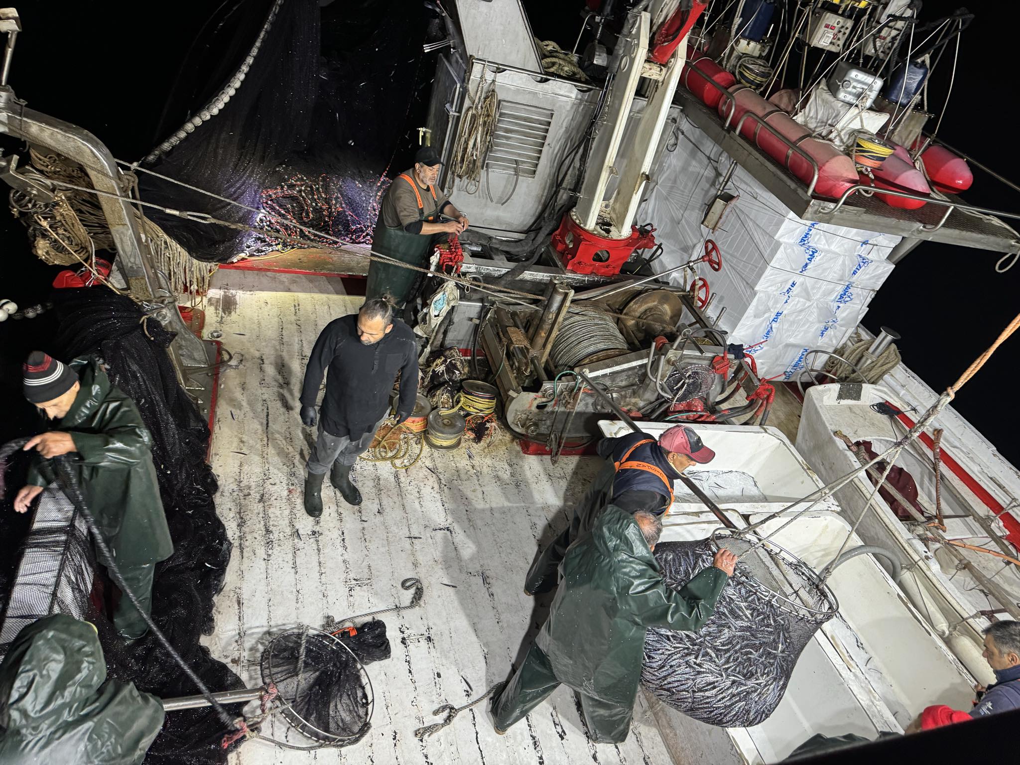 Μια νύχτα πάνω σε γρι-γρι στον Σαρωνικό-3